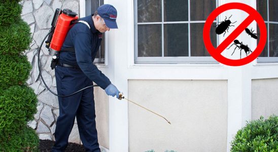 Vezirköprü Hamam Böceği İlaçlama böcek ilaçlama ve haşere kontrolü — ilaclama-tr.com